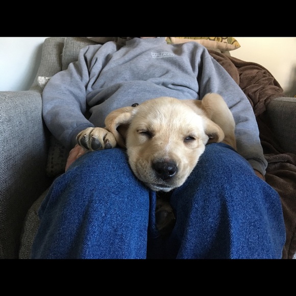 Meet your Posher, Pam - Picture 1 of 1